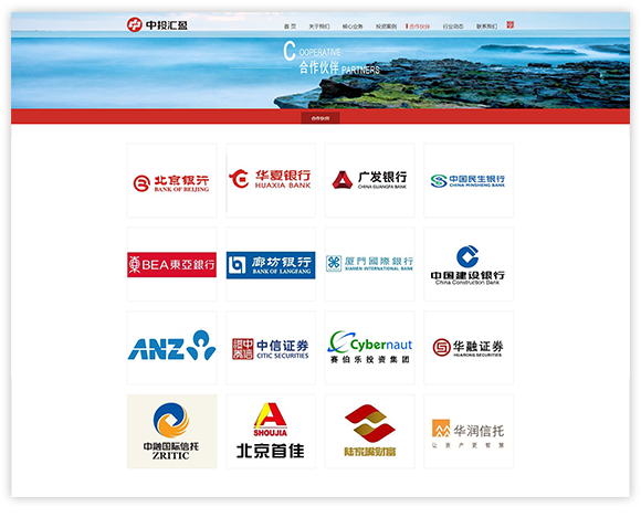 網站建設案例效果圖