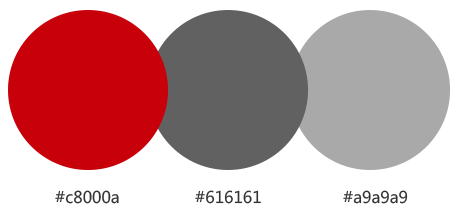 網站建設案例效果圖