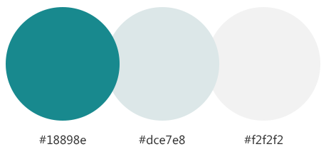 網(wǎng)站建設(shè)案例效果圖