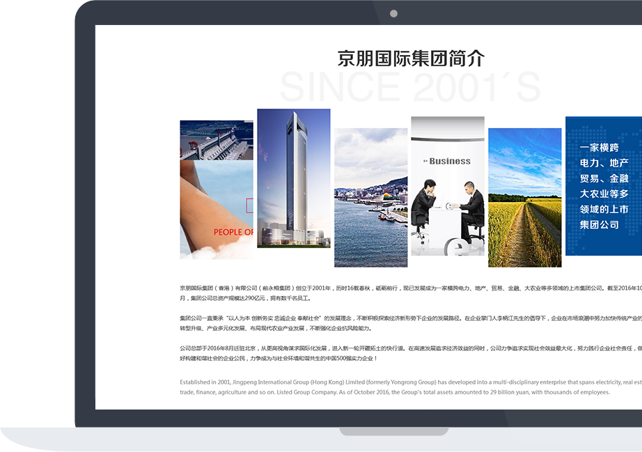 網站建設案例效果圖